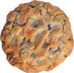 milk chocolate cookie
